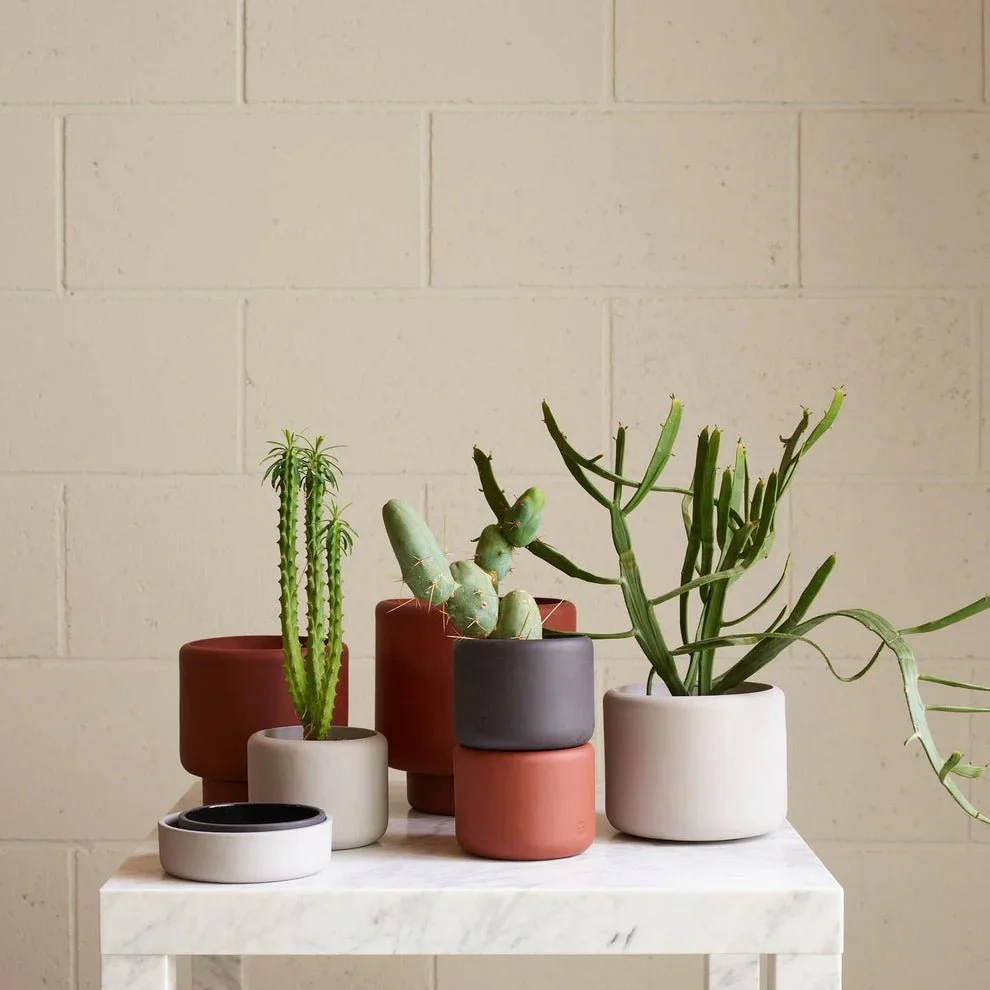 Aaron Probyn Botany Plant Pot - Concrete Grey (Large 19cm) - Image 4