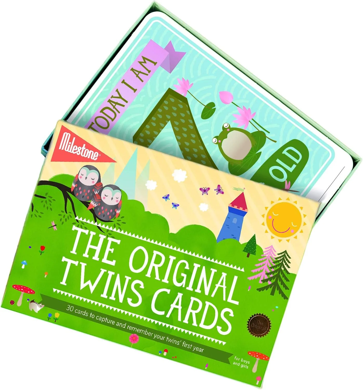 Milestone Baby Cards Twins - Image 2