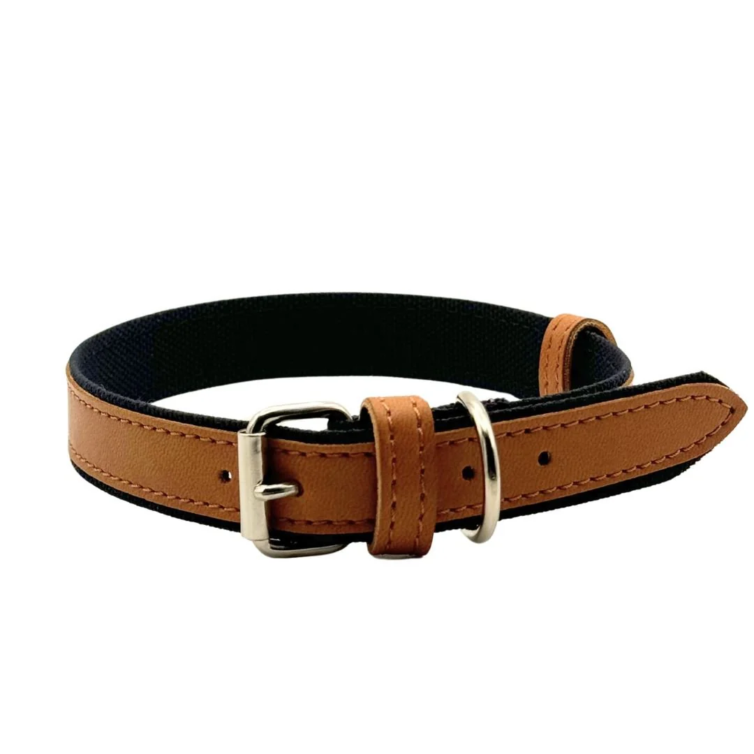 Project Blu Florence Collar (Tan)