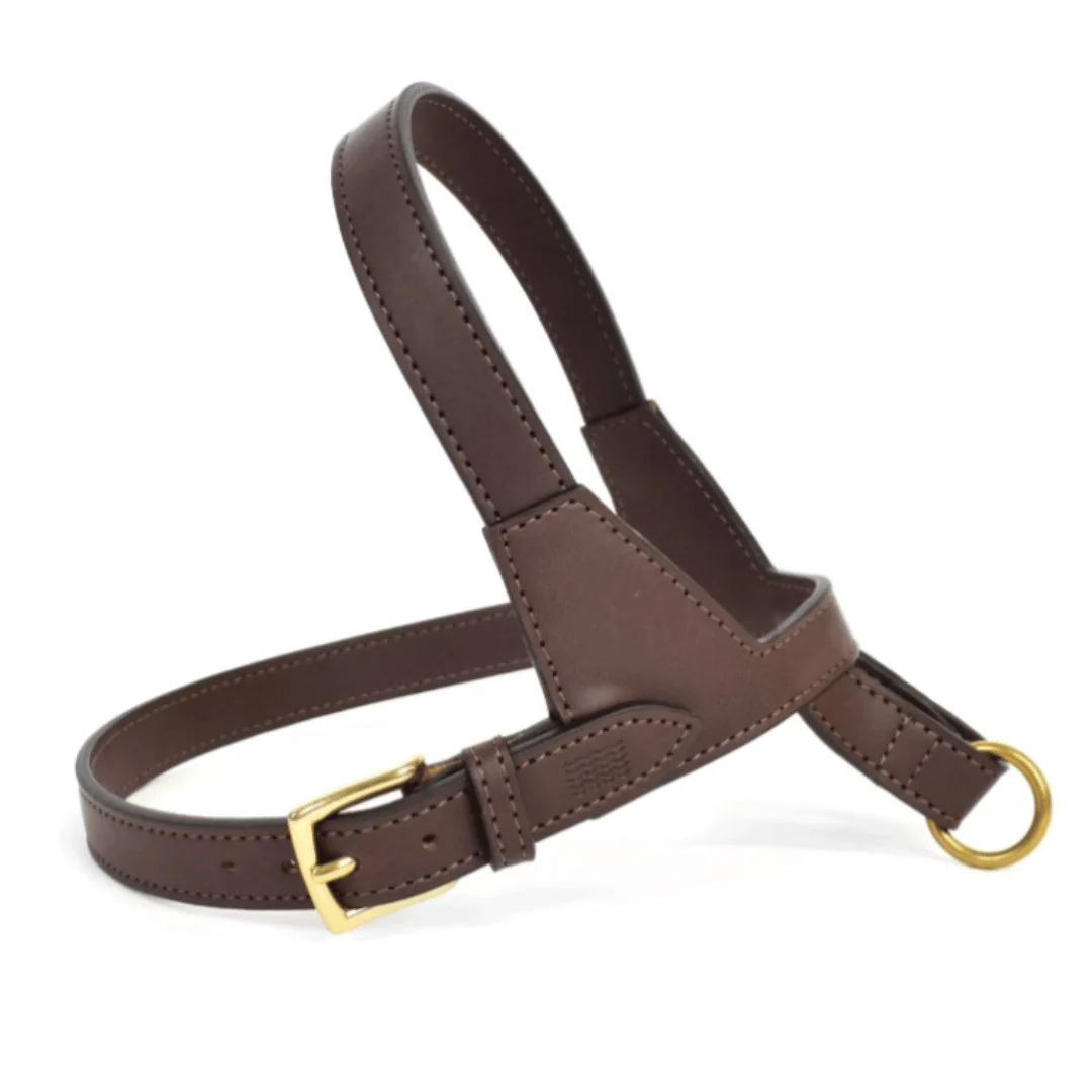 Project Blu Lucca Dark Brown Leather Dog Harness