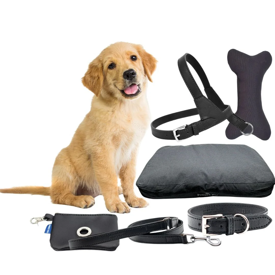 Project Blu Puppy Starter Pack - Black